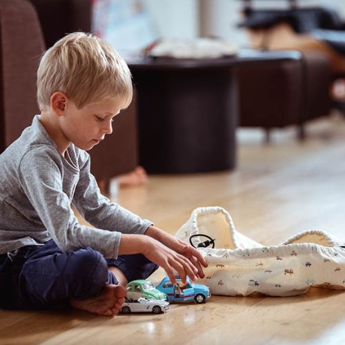 Mini Toy Storage Bag - Cars