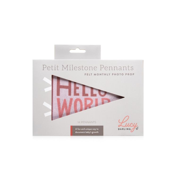 Milestone Felt Pennants - Blushing Meadow