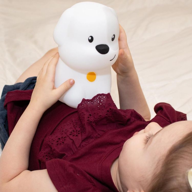 Lumipets® LED Dog Night Light