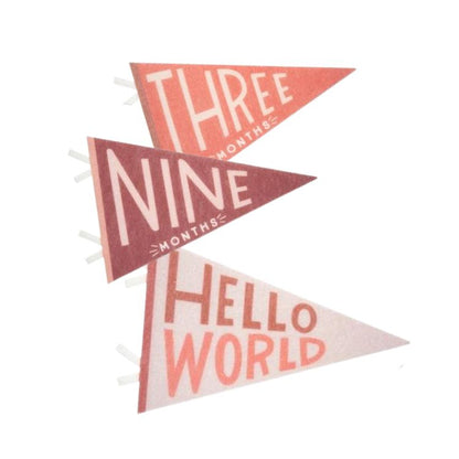 Milestone Felt Pennants - Blushing Meadow