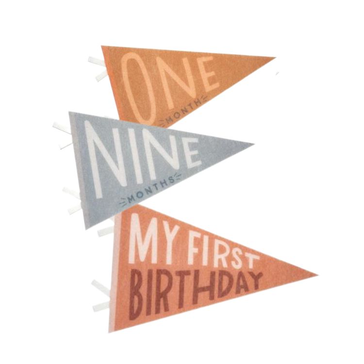 Milestone Felt Pennants - Mountain Fields