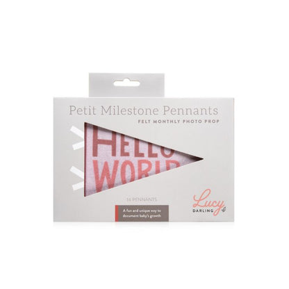 Milestone Felt Pennants - Blushing Meadow