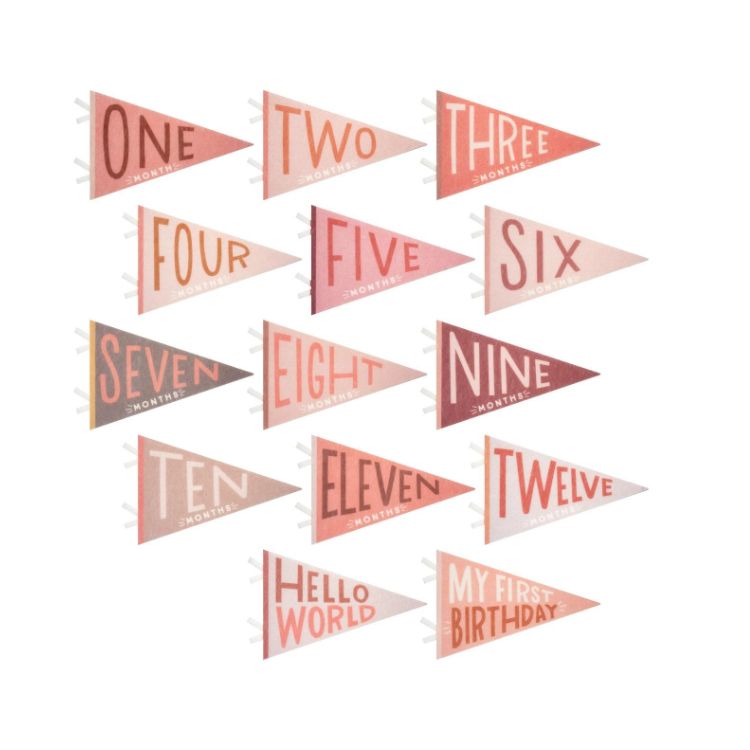 Milestone Felt Pennants - Blushing Meadow