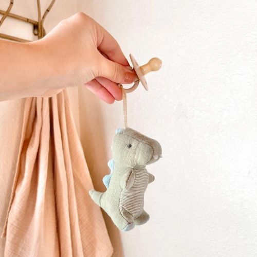 Bitzy Pal™ Natural Rubber Pacifier & Stuffed Dino