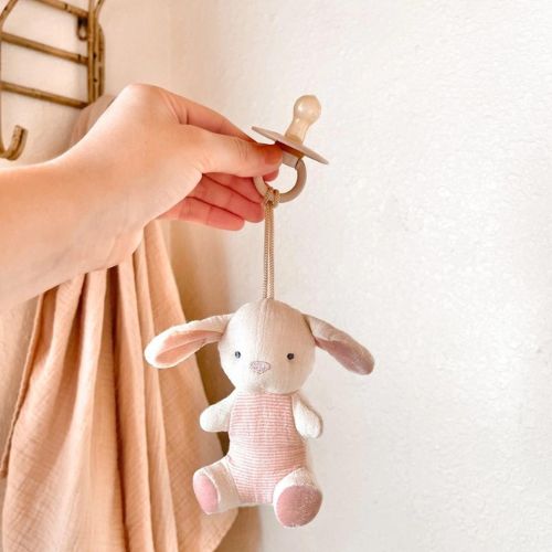 Bitzy Pal™ Natural Rubber Pacifier & Stuffed Bunny